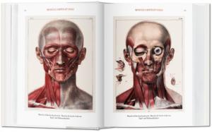 ATLAS OF HUMAN ANATOMY AND SURGERY/Atlas d'anatomie humaine et de chirurgie, " Bibliotheca Universalis " - J. M. Bourgery et N. H. Jacob