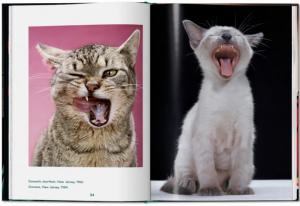 [CHANDOHA] CATS. Photographs 1942 - 2018, " Pocket Books " - Walter Chandoha. Texte de Susan Michals 